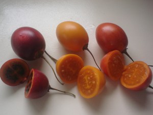 Red, Gold and Amber Tamarillos.